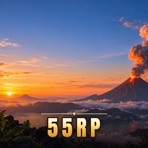 Performa 55rp